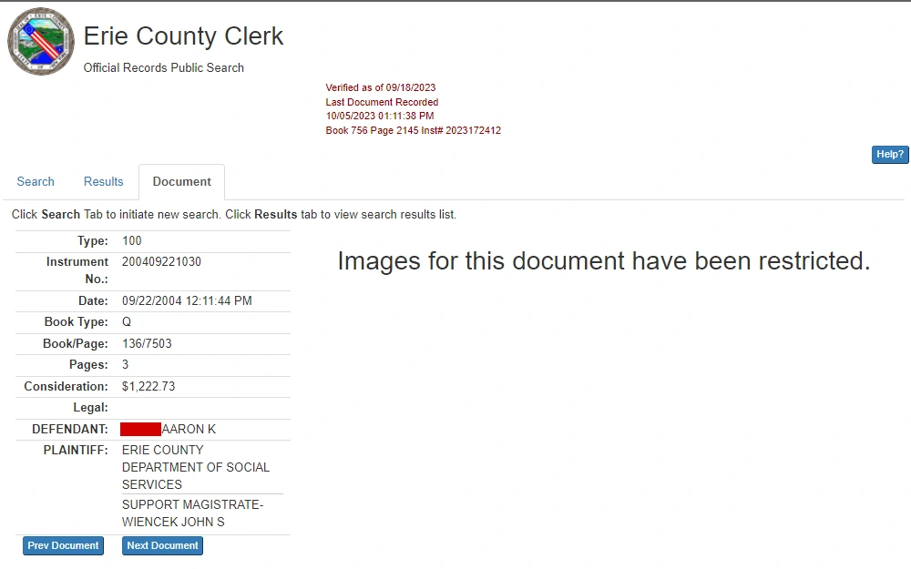 A screenshot of criminal case document information from the Erie County Clerk includes type (code), instrument no., date, book type/page, name of defendant and plaintiff, and the Clerk's logo at the top left corner.